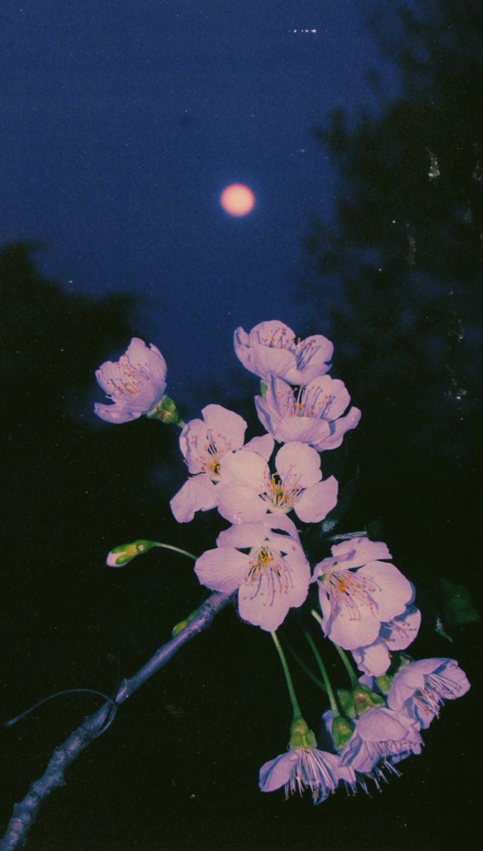 Speaking to your higher self